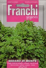 Løvstikke - Sedano di monte