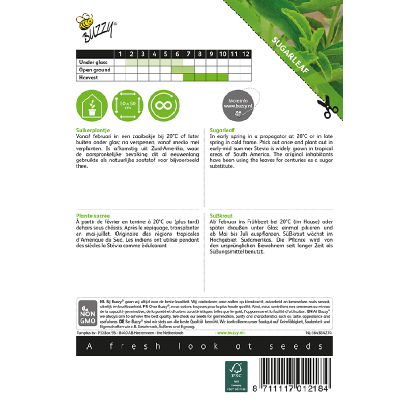 Sukkerplante - Stevia rebaudiana