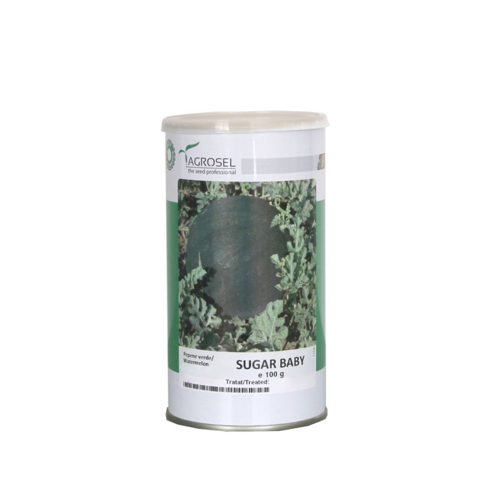 Vandmelon - Sugar Baby - BIG-PACK