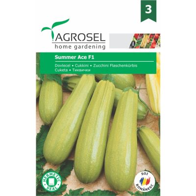Squash - Summer Ace F1 - stor