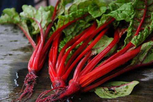 Swiss Chard - Ruby