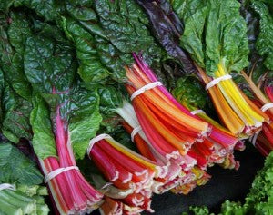 Bladbede - Rainbow - Beta Vulgaris var. Ciela