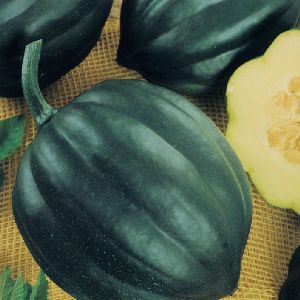 Squash - Table Queen