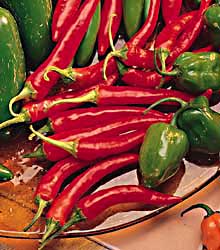 Thai Red Dragon Chilli