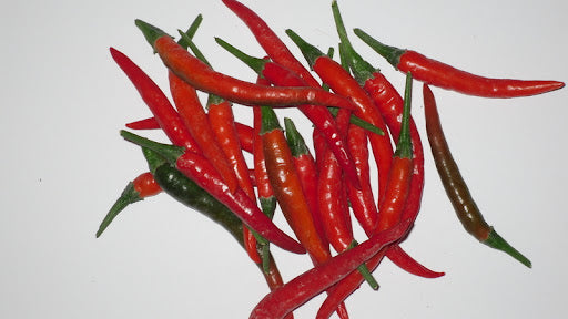 Thai Chilli - Ladyfinger - C. annuum