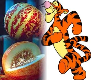 Tigger Melon