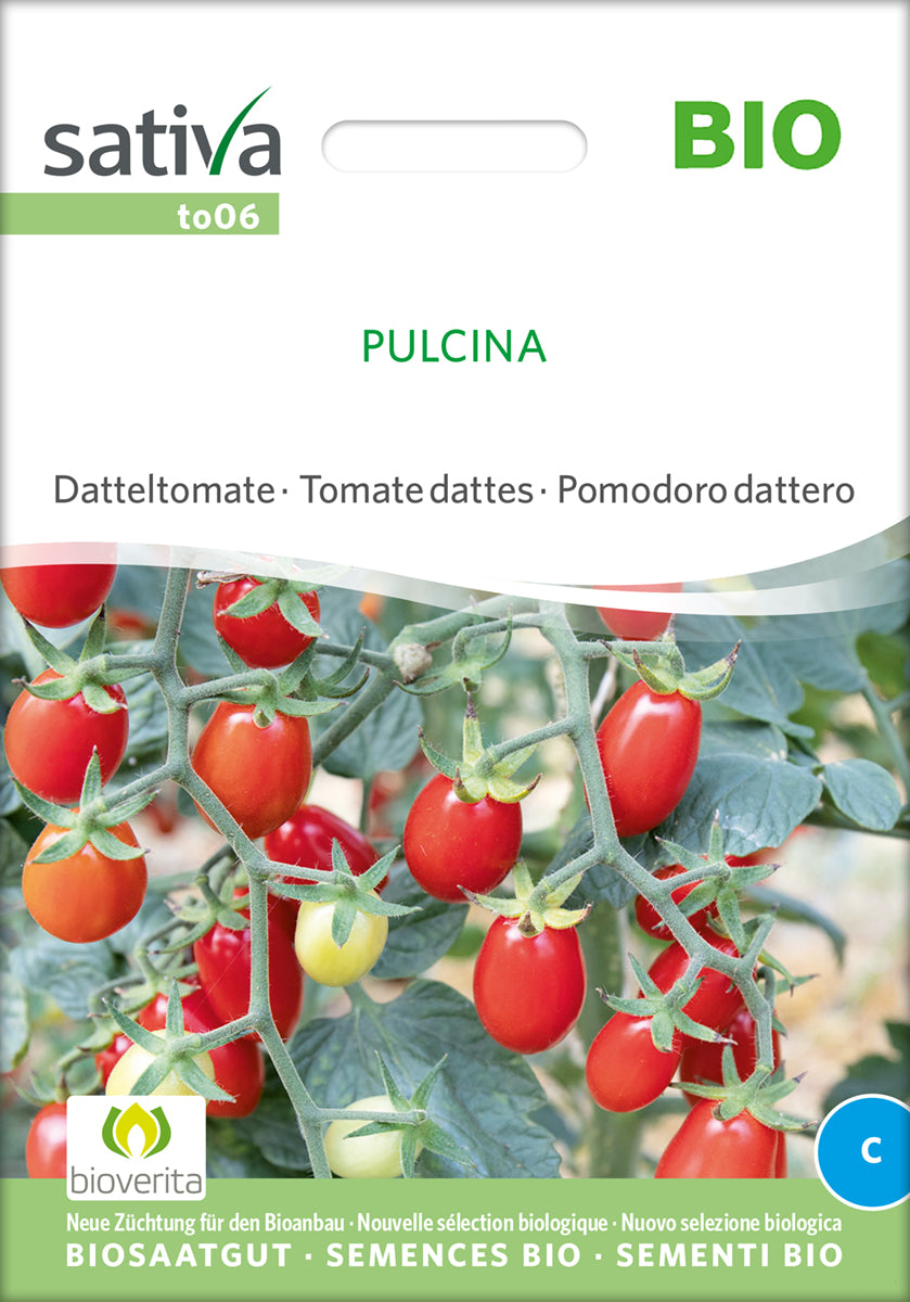 Tomat - Pulcina - ØKO