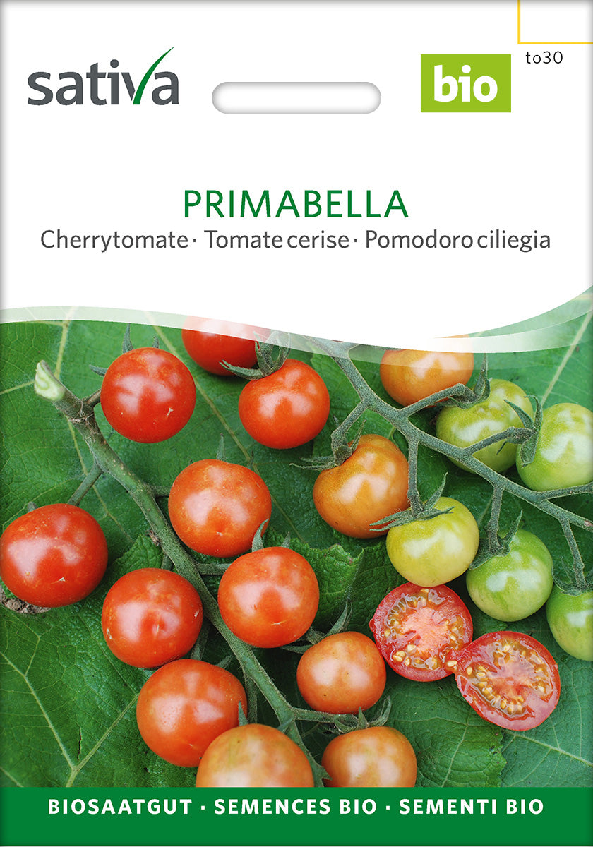 Cherrytomat - Primabella - ØKO