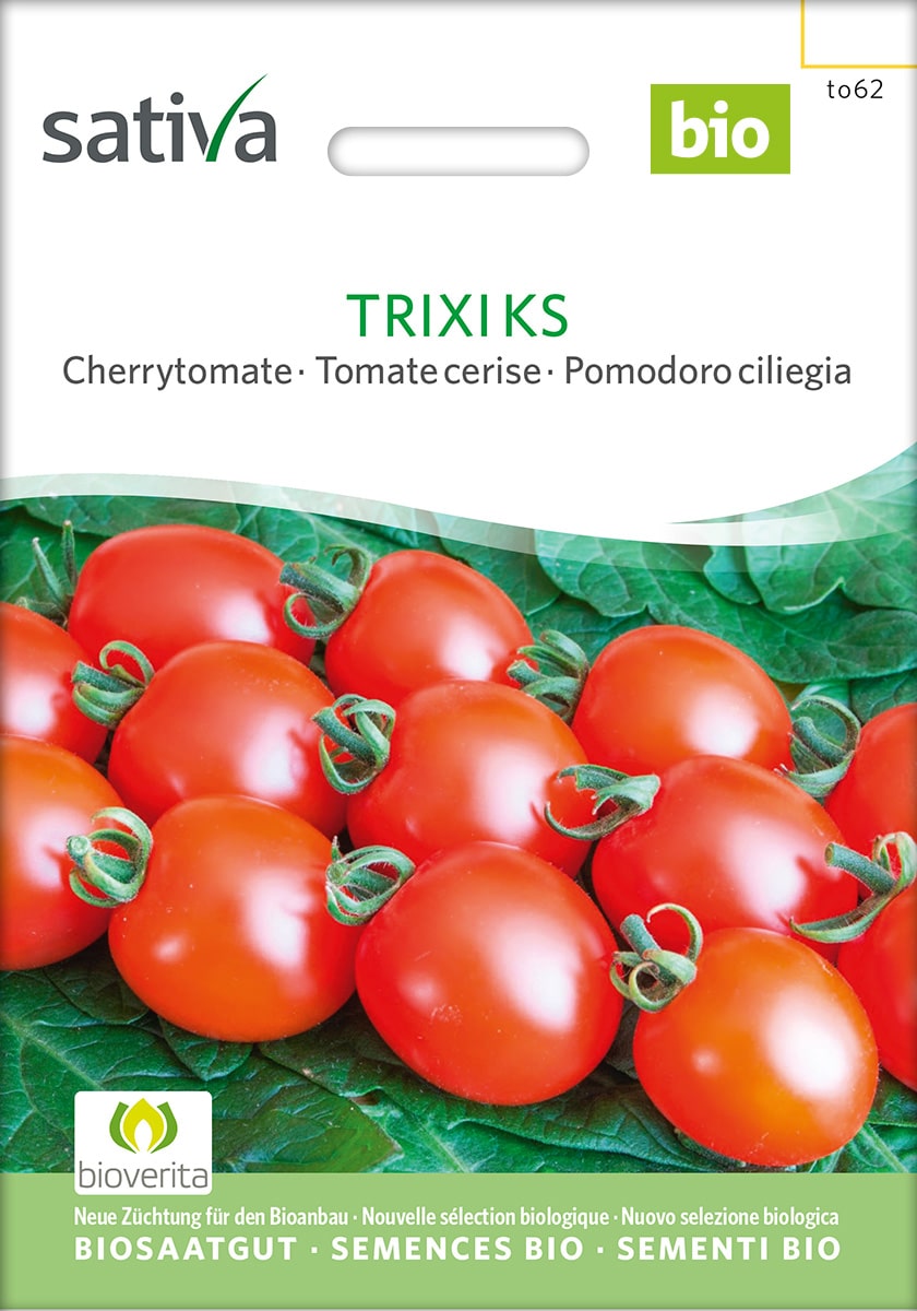 Tomat - Trixi KS - ØKO