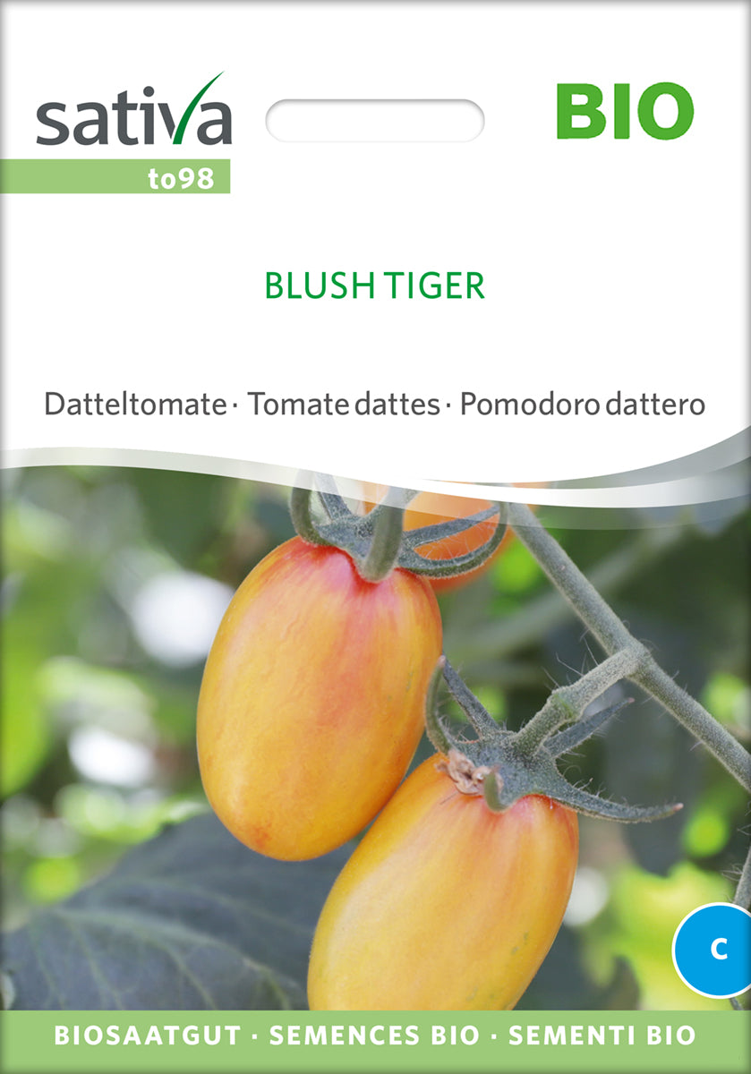 Tomat - Blush Tiger - ØKO