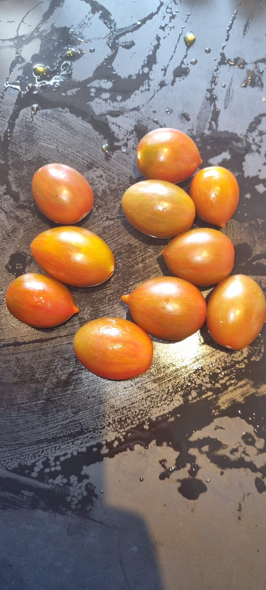 Cherry Tomat - Sabrina F2