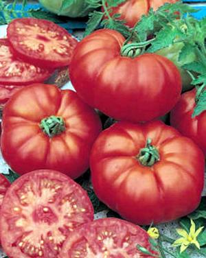 Marmande - Tomat