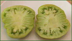Emerald Green