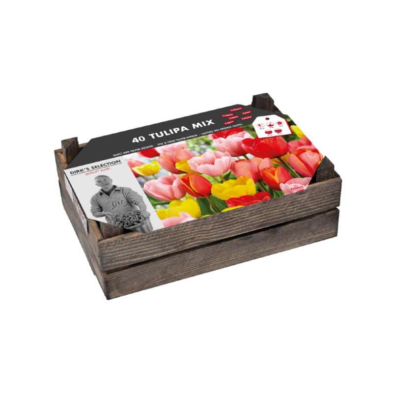 Blomsterløg Kasse - Tulipan Mix