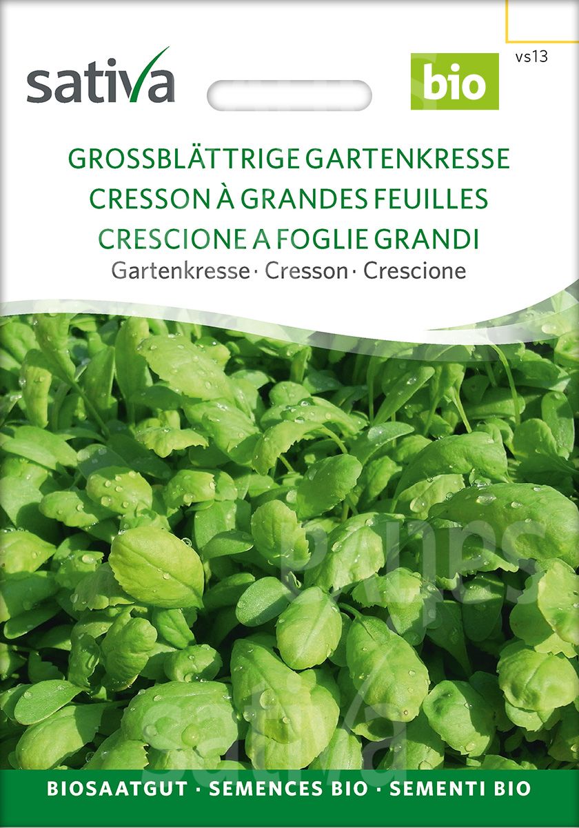 HAVEKARSE - LAND CRESS - ØKO