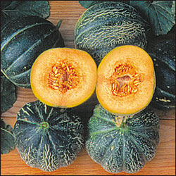 Emerald Gem - Melon