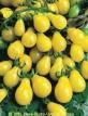 Yellow Pear - Tomat