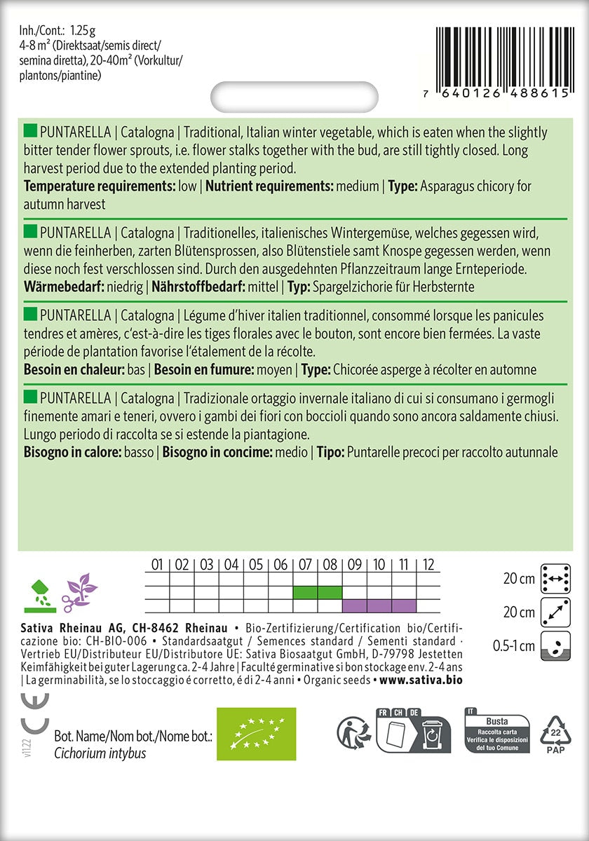 Cicoria - Julesalat - Puntarella Catalogna - ØKO