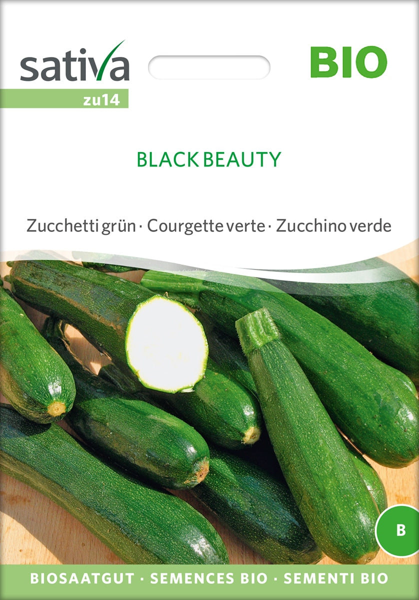 Squash - Black Beauty ØKO
