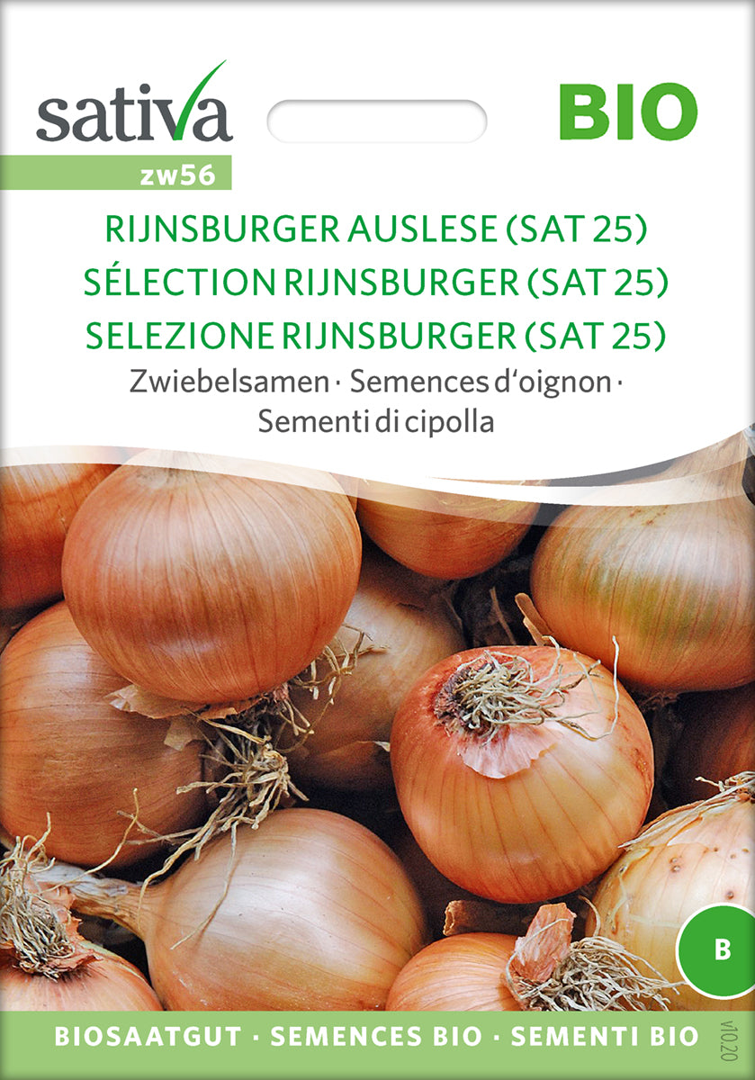 Løg - RIJNSBURG SELECTION (SAT25) - ØKO