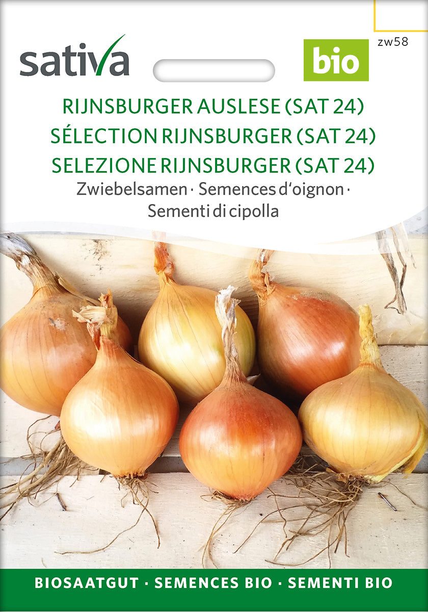 Løg - Durabell (SAT 24) - Selection Rijnsburger - ØKO