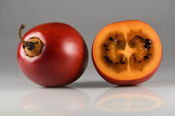 Trætomat (Tamarillo) Cyphomandra crassicaulis