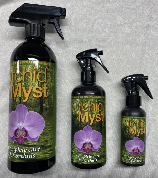 GT Orchid Myst