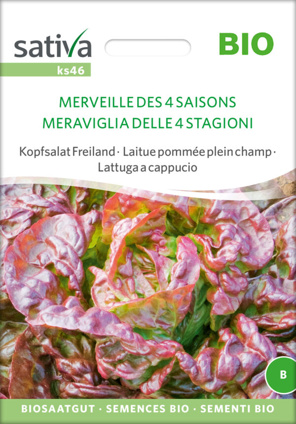 Salat - Merville des quatre saison - ØKO
