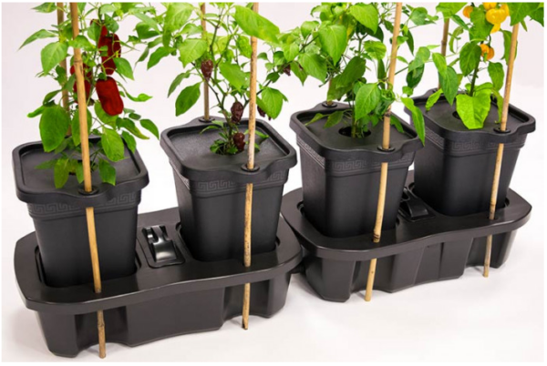 QUADGROW new system inkl. gødning - Billede 8