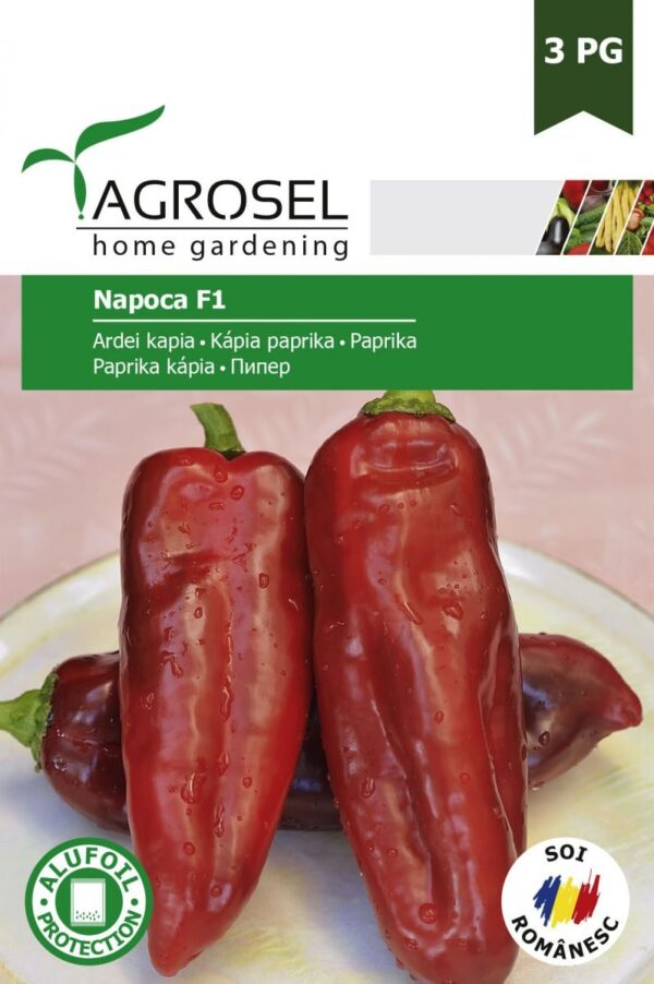 Peberfrugt - Napoca F1