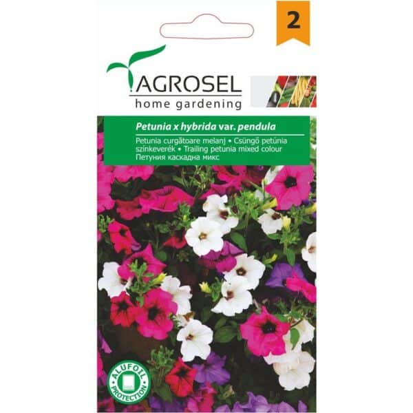 Petunia Hænge - Petunia x hybrida Pendula - PG2
