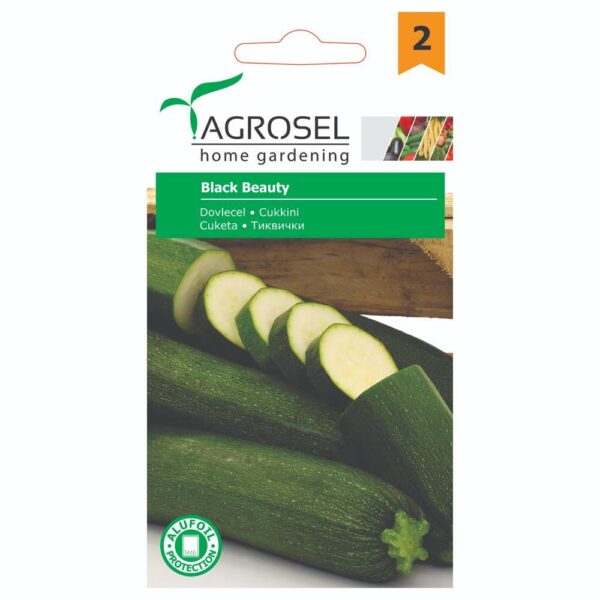 Squash - Black Beauty