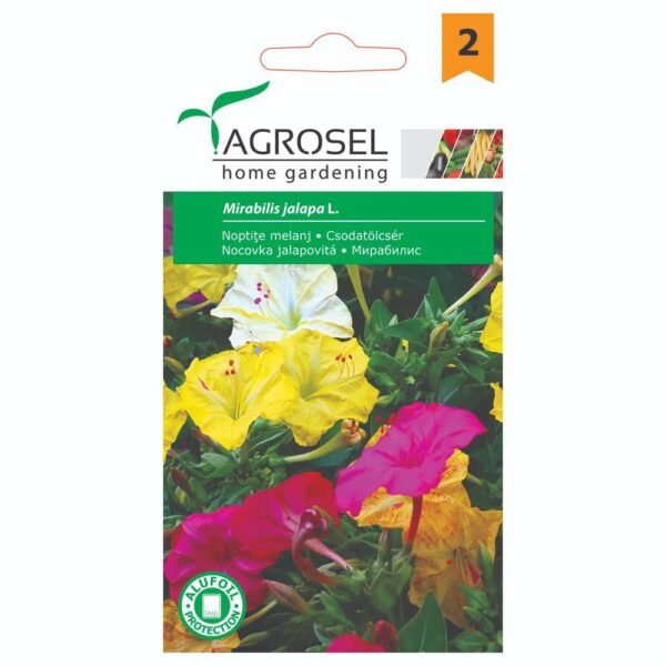 Vidunderblomst - Mirabilis Jalapa