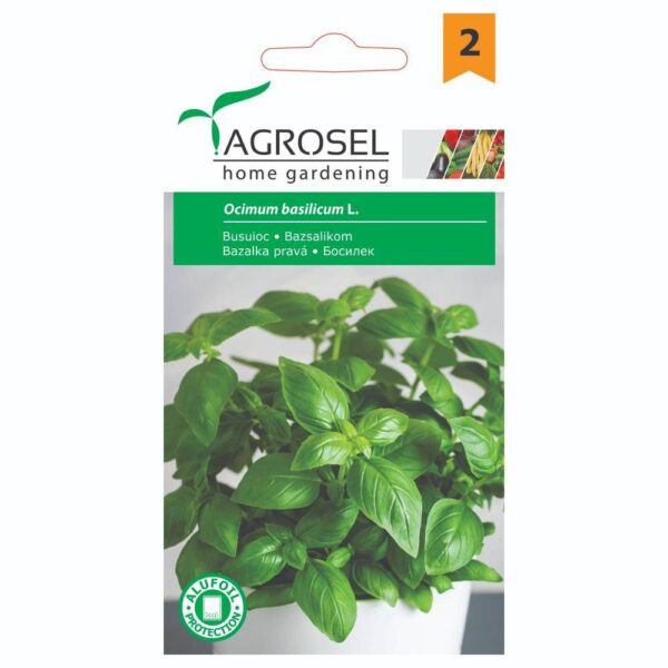 Basilikum - Ocimum Basilicum L.