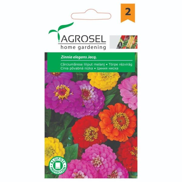 Frøkenhat Dværg- Zinnia Elegans Jacq