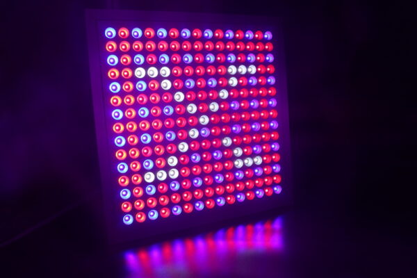 LED Vækstpanel X45 - 36W - Image 3
