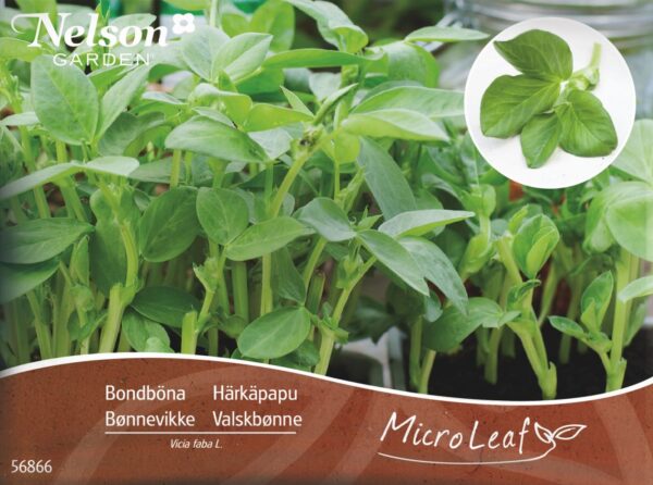 Micro Leaf - Valskbønne