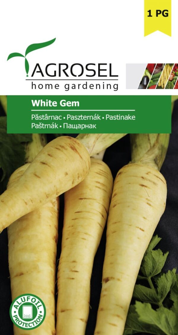 Pastinak - White Gem - lille pk