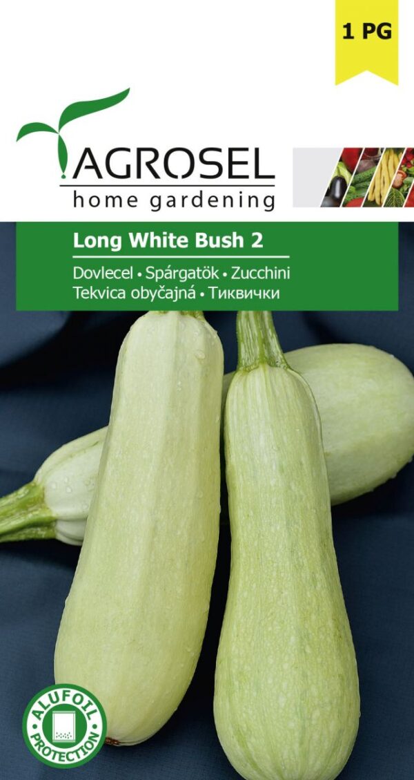 Squash - Long White Bush 2