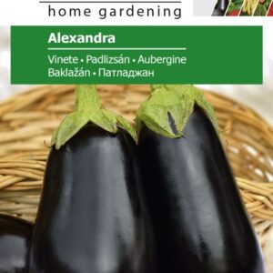 Aubergine - Agrosel