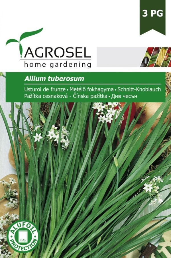 Hvidløgs- / Kina Purløg - Allium Tuberosum