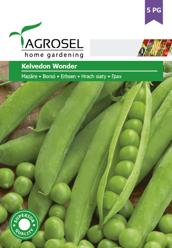 Ært - Kelvedon Wonder - BIG PACK