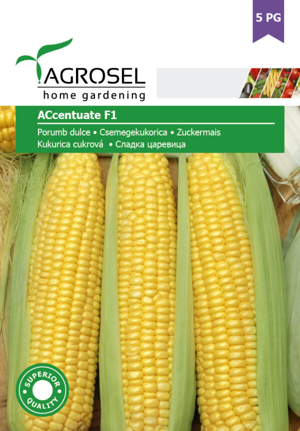 Sukkermajs - Accentuate F1 - BIG PACK