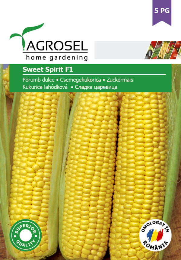 Sukkermajs - Sweet Spirit F1 - BIG PACK