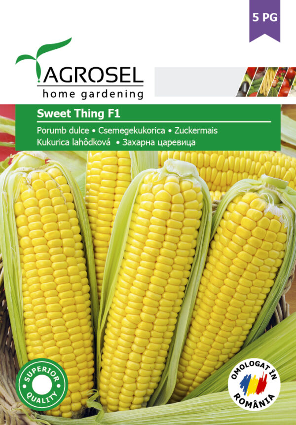 Sukkermajs - Sweet Thing F1 - BIG PACK