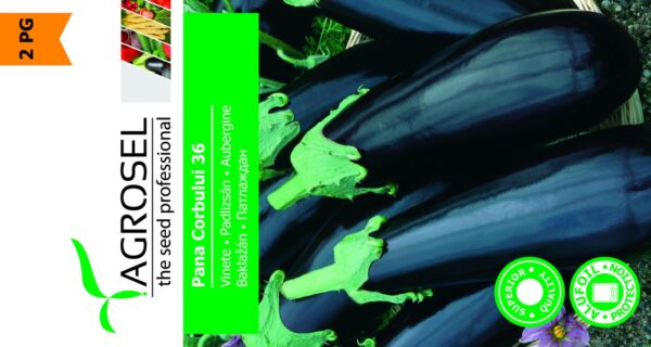 Aubergine - Pana Corbului 36