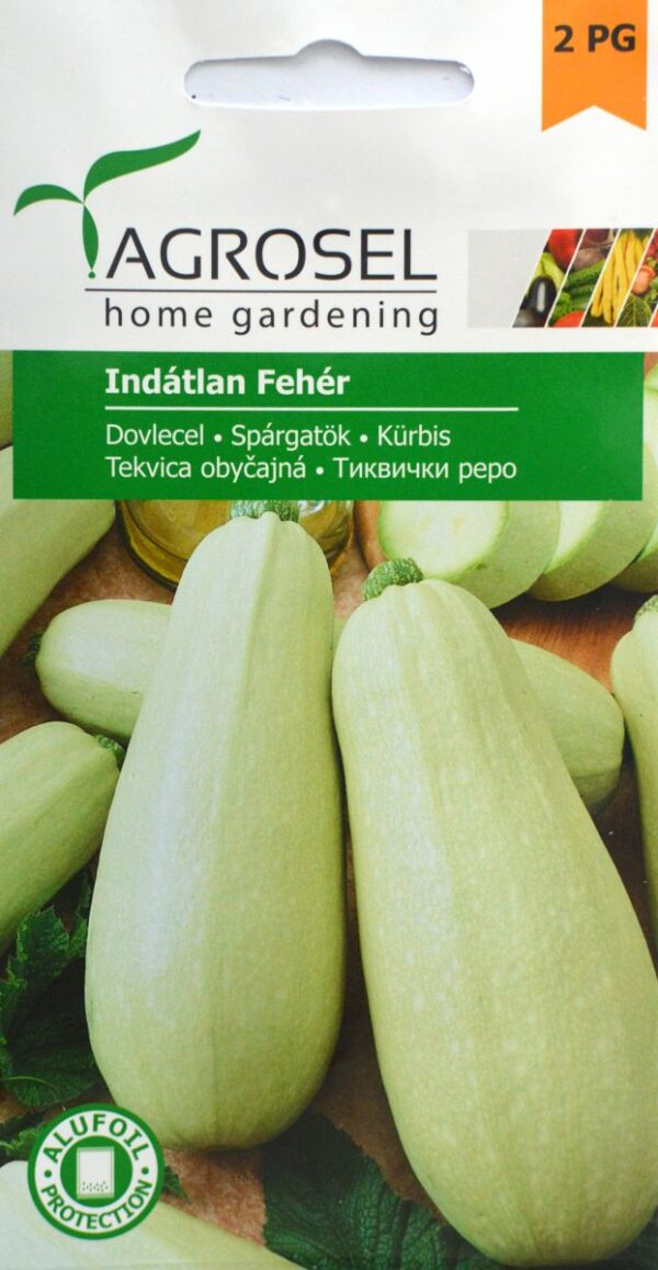 Squash - Indátlan Fehér