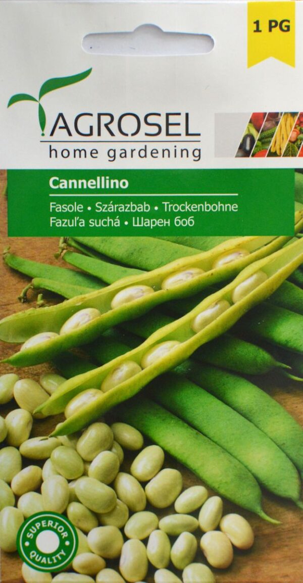Bønne - Cannellino