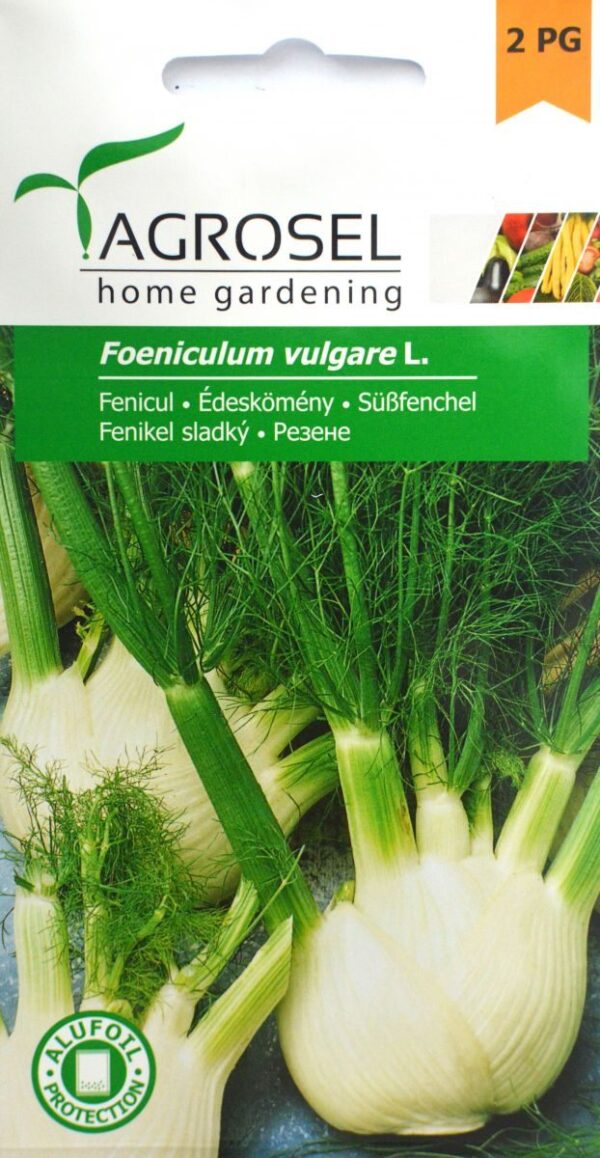 Knold fennikel - Foeniculum Vulgare L.