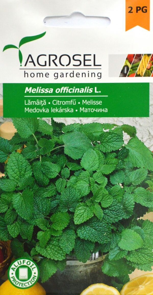 Melisse - Melissa officinalis L.